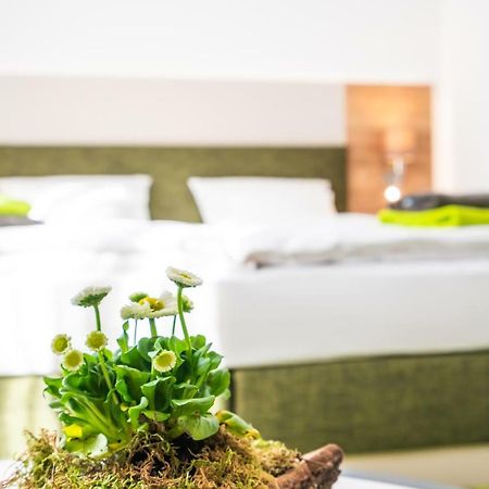 Hotel-Pension Treppengasse Nr 6 Άλτενμπουργκ Εξωτερικό φωτογραφία
